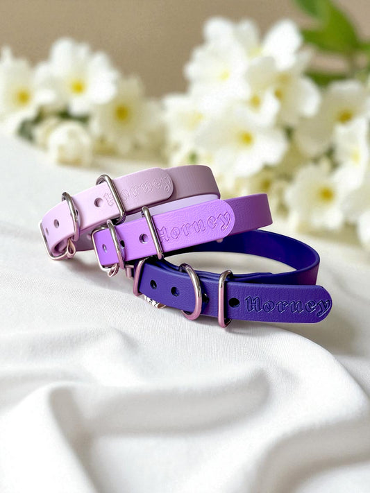 Collier BioThane® chiot