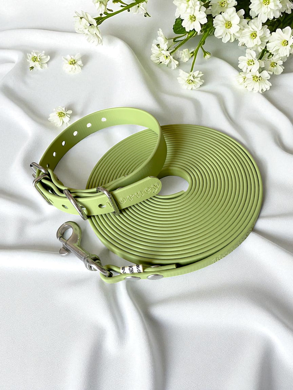 Pack d'arrivée chiot