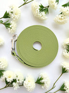 Ligne de confiance chiot