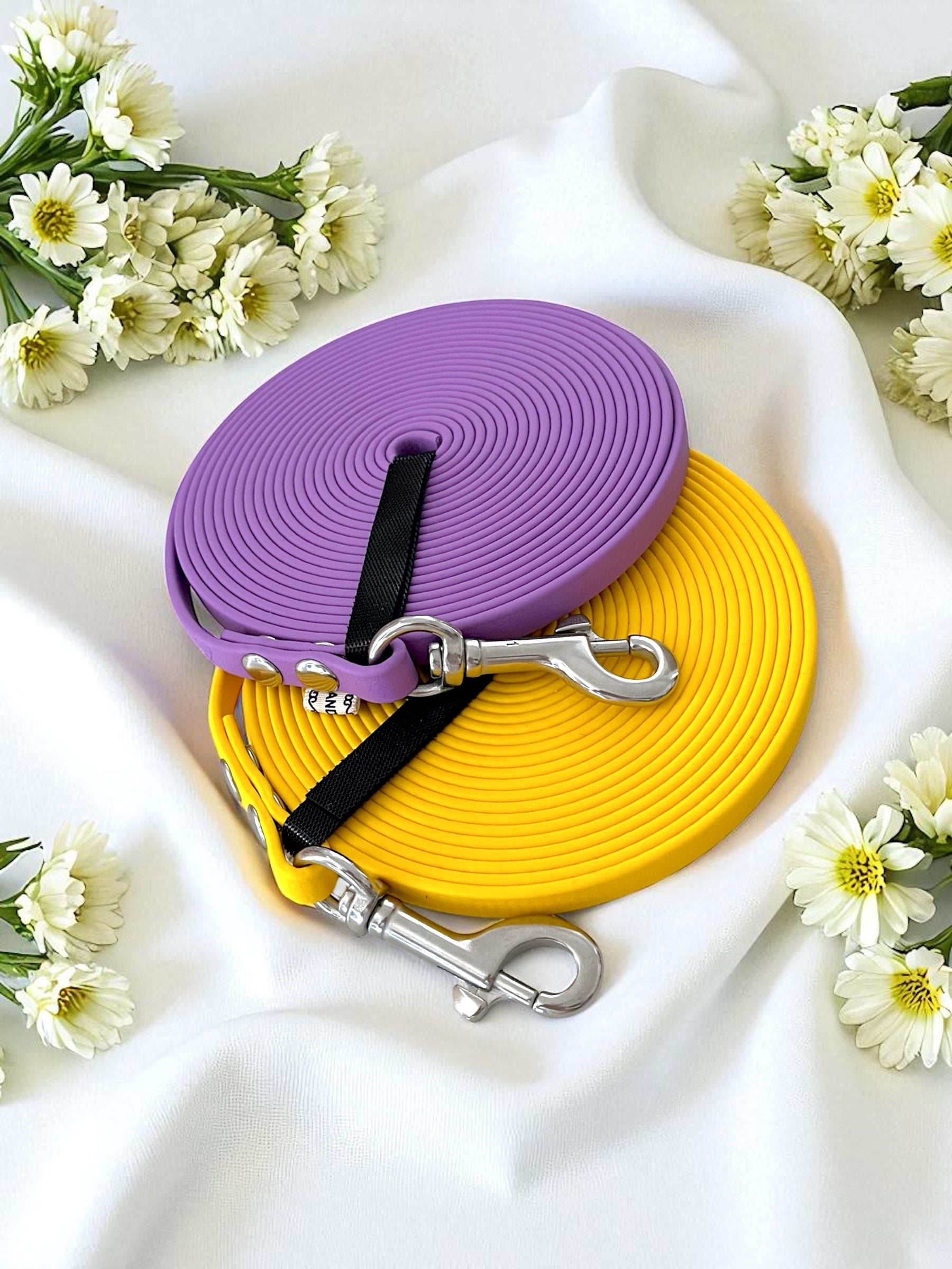 Ligne de confiance chiot