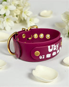 Collier d'identité BioThane®