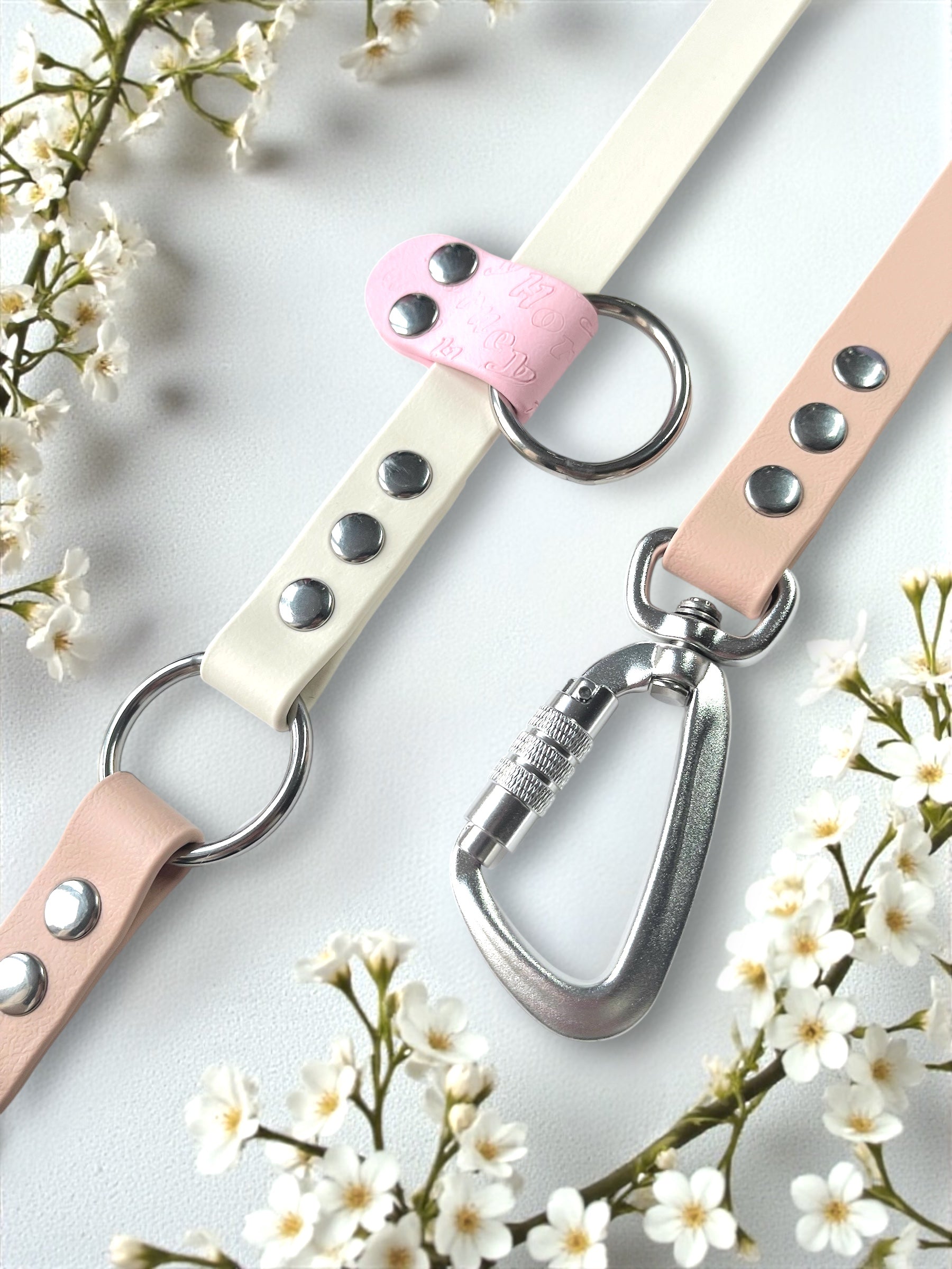 Laisse multi-position tricolore BioThane®