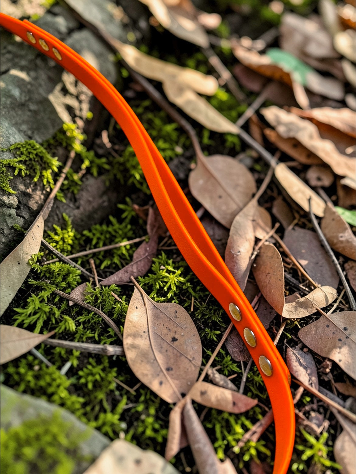 Option poignée discrète pour longe