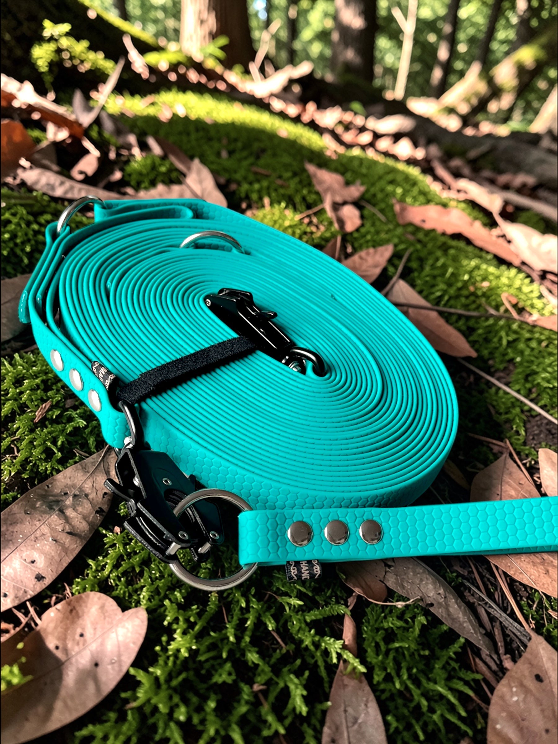 Option multiposition pour longe