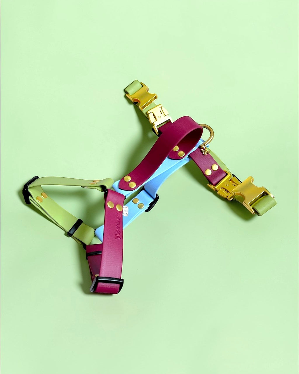 Harnais 25MM (10kg < 🐕 < 40kg)