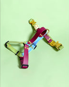 Harnais 25MM (10kg < 🐕 < 40kg)