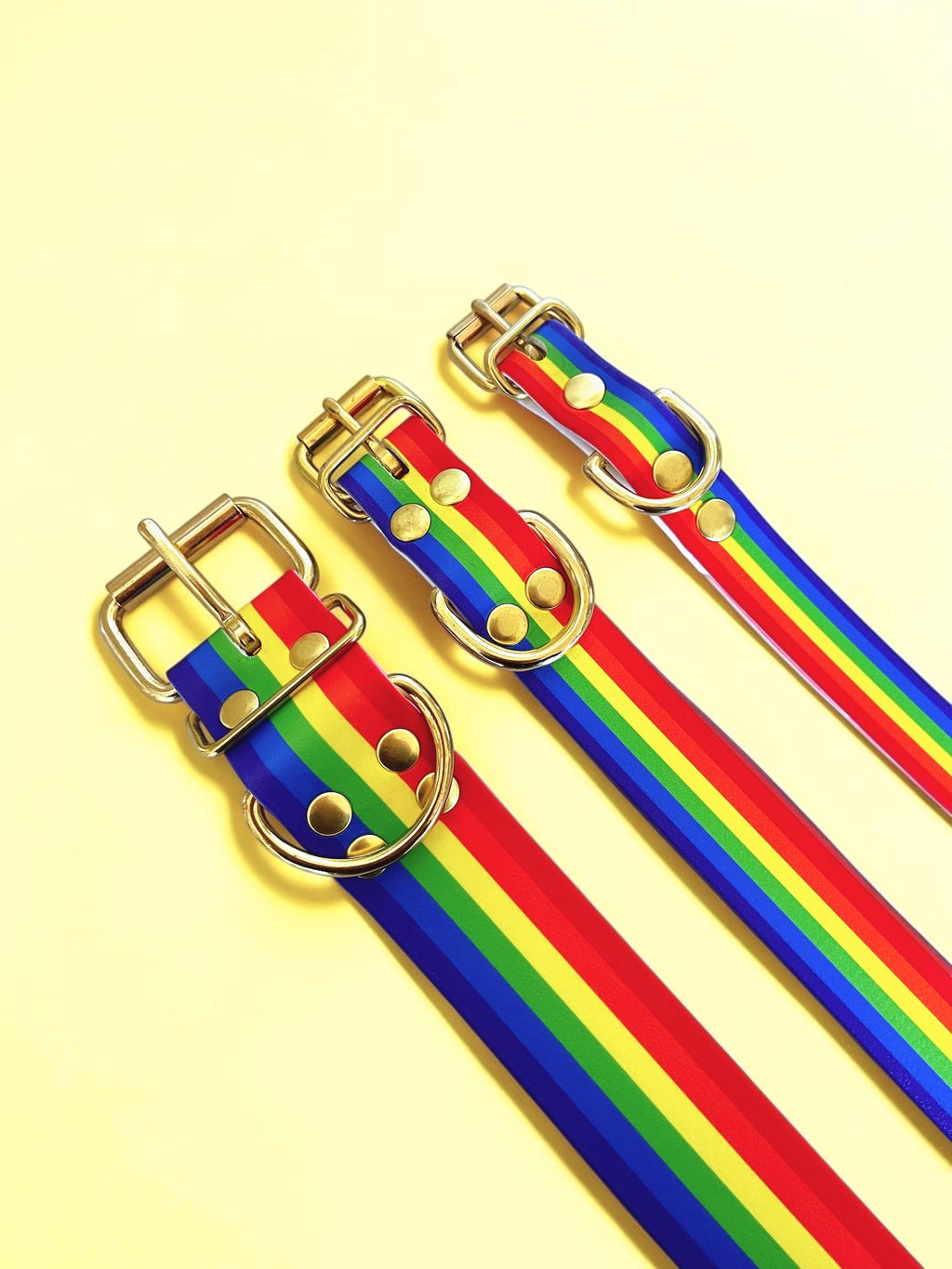 Collier Pride (35 à 45cm)