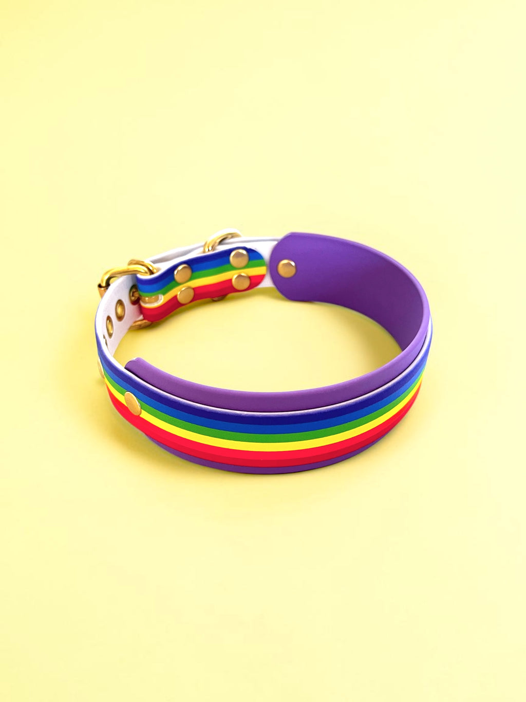 Collier bi-largeur Pride (35 à 45cm)