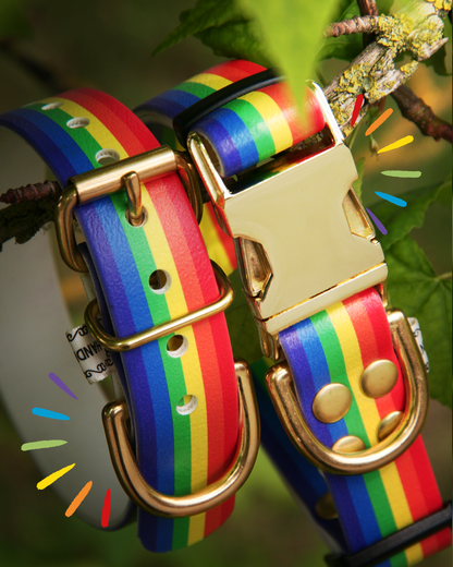 Box Pride 🌈
