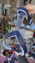 Harnais tout doux 🐑