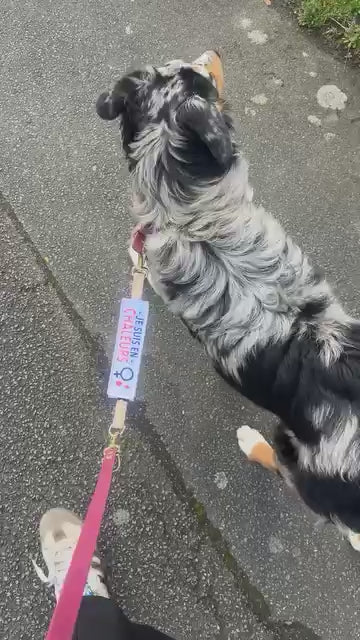 Le pack - Patch'Alerte