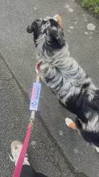 Le pack - Patch'Alerte