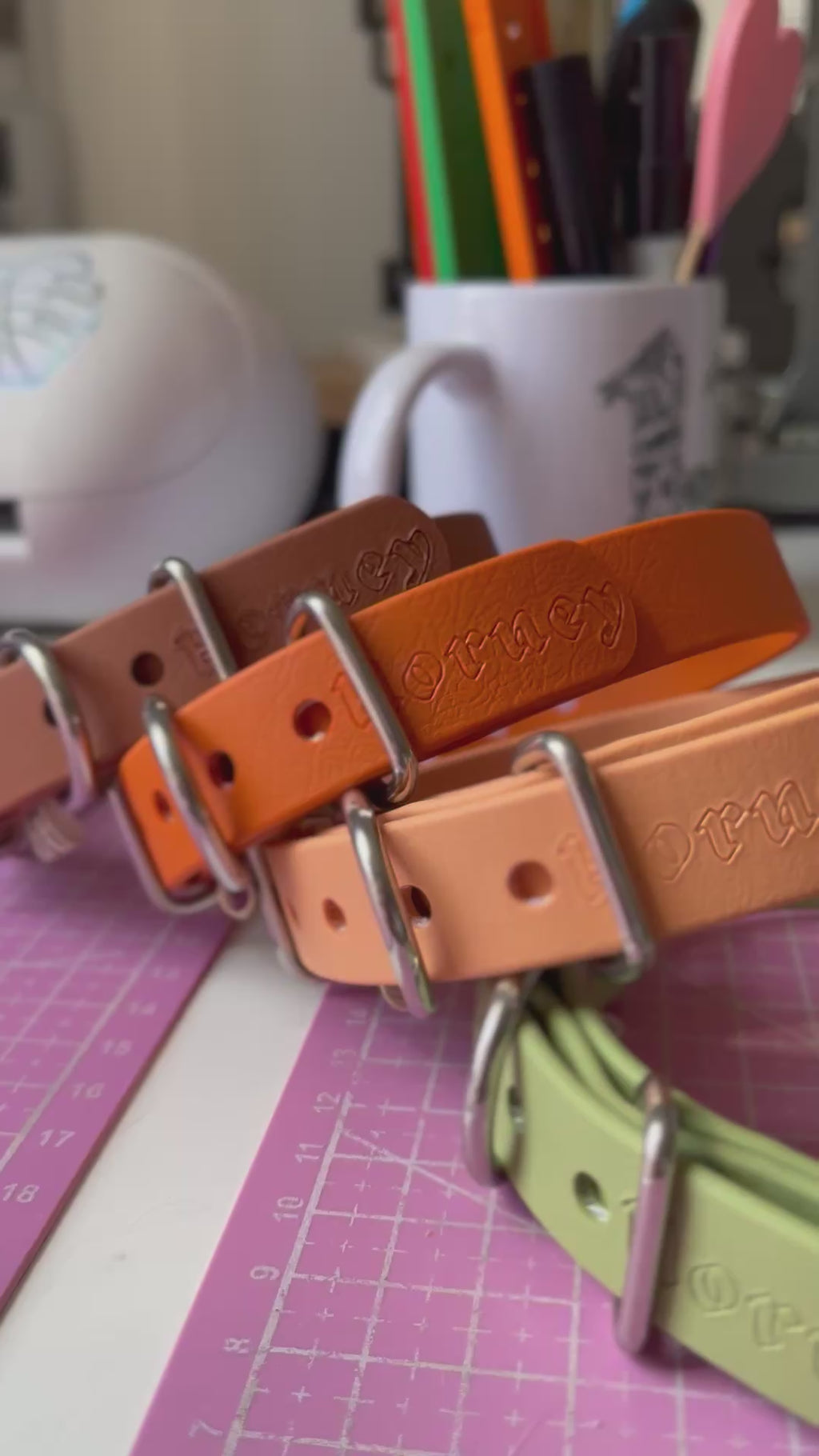 Collier BioThane® chiot