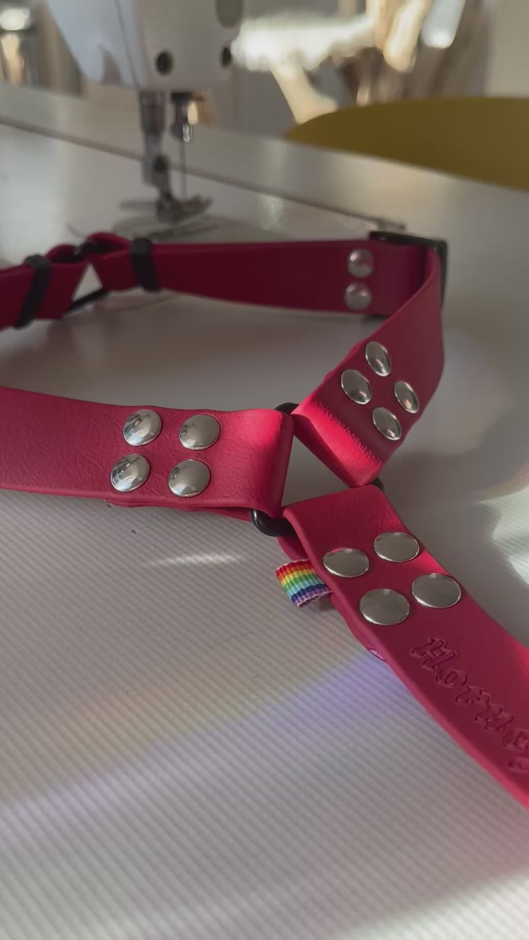 Harnais 25MM (10kg < 🐕 < 40kg)