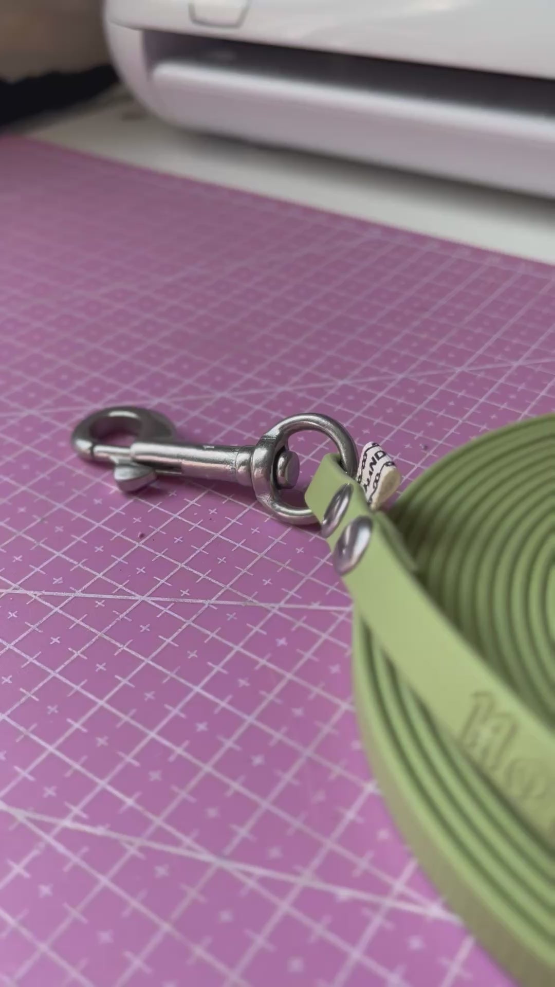 Ligne de confiance chiot