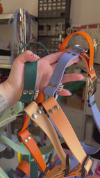 Harnais 25MM (10kg < 🐕 < 40kg)