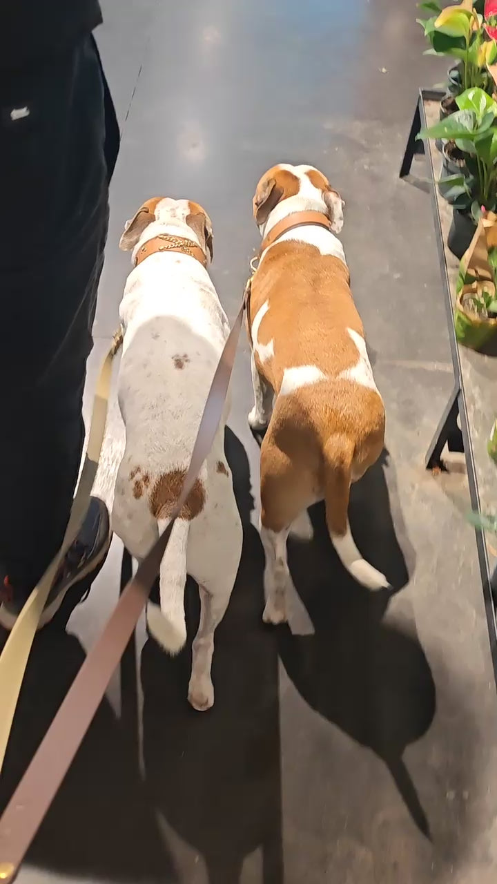 Corps de laisse BioThane® (sans poignée)