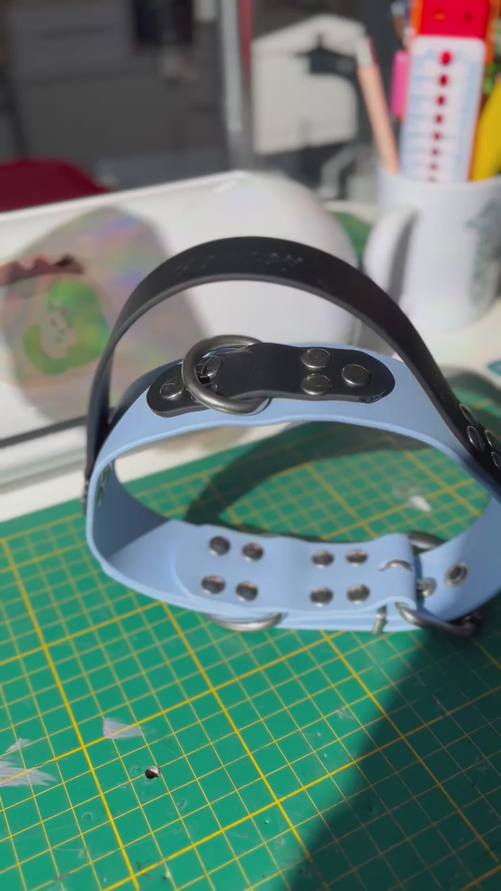 Collier à poignée BioThane®