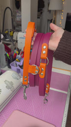 BioThane® Two-Tone Multi-Position Leash