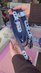 BioThane® Two-Tone Multi-Position Leash