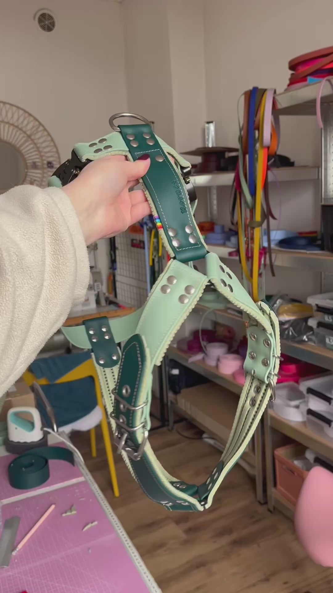 Harnais tout doux 🐑