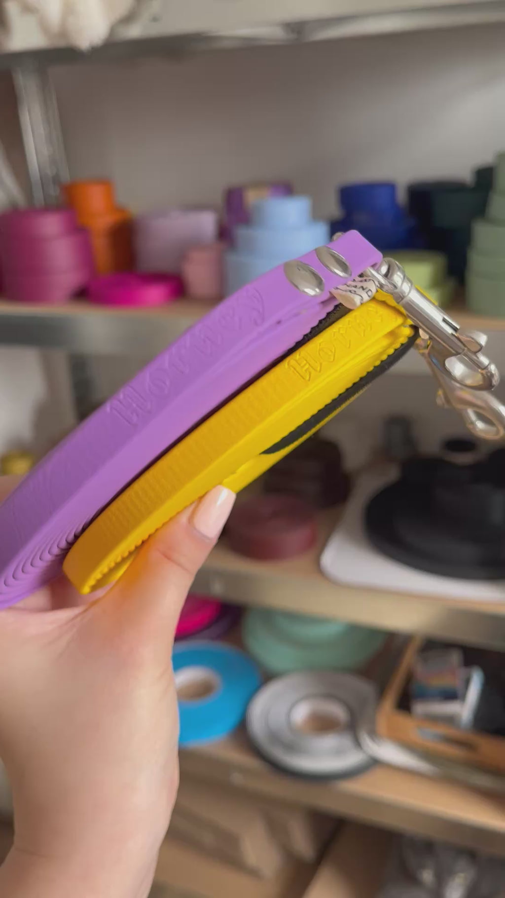 Ligne de confiance chiot