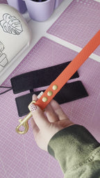 Le manchon de laisse