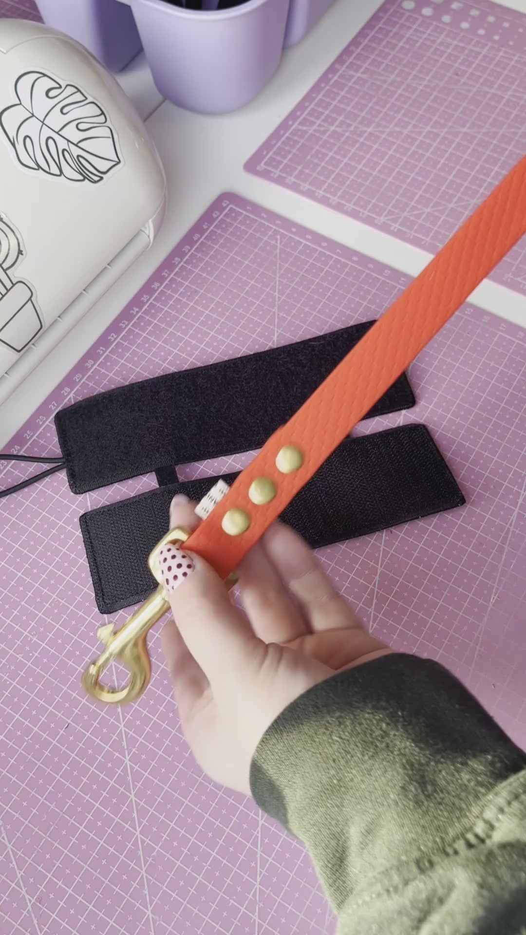 Le manchon de laisse