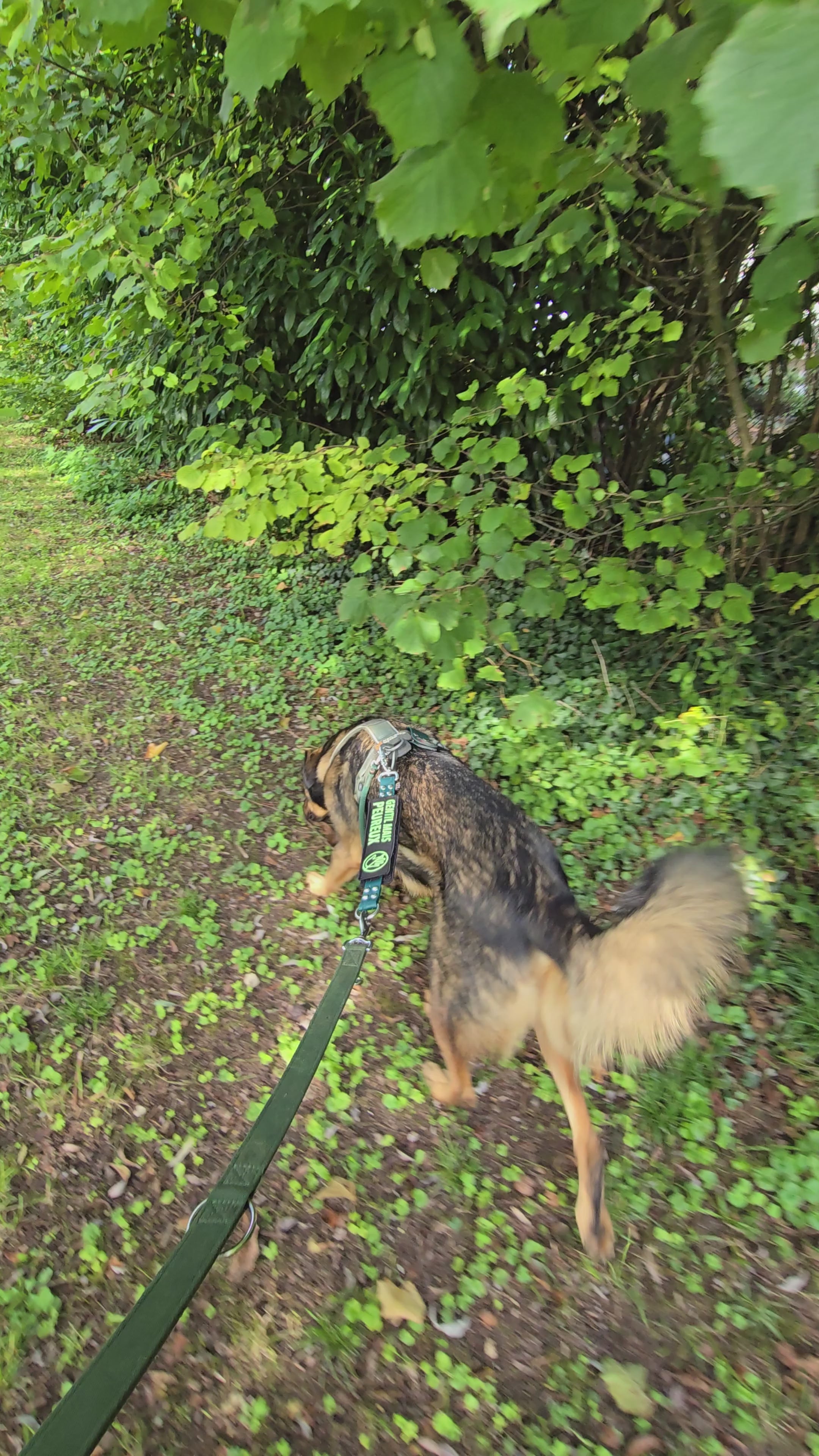 Le pack Patch'Alerte